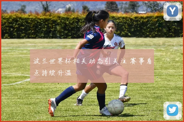 波兰世界杯相关动态引关注 赛事看点持续升温