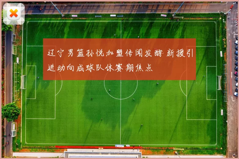 辽宁男篮孙悦加盟传闻发酵 新援引进动向成球队休赛期焦点