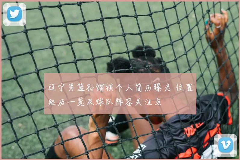 辽宁男篮孙锴祺个人简历曝光 位置经历一览及球队阵容关注点