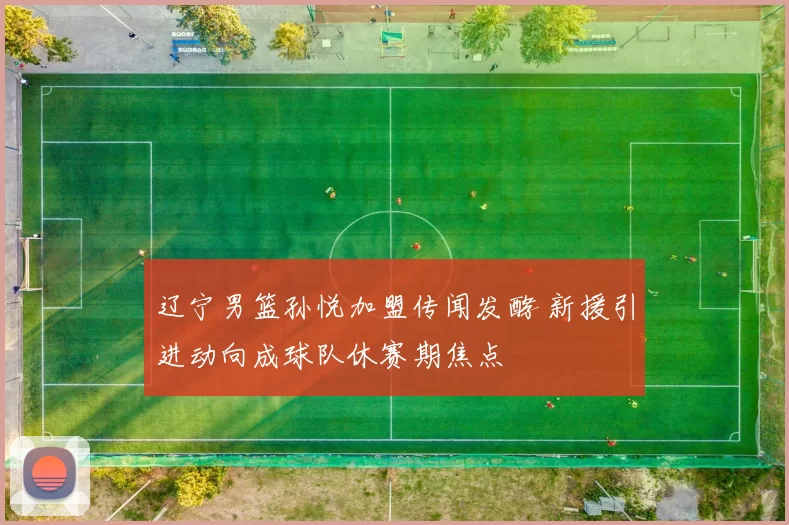 辽宁男篮孙悦加盟传闻发酵 新援引进动向成球队休赛期焦点